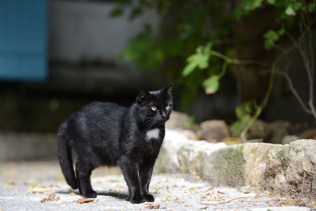 20151029-DSC_8842A.jpg