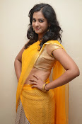 Nanditha raj latest photos in half saree-thumbnail-13