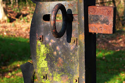 Norfolk Nuances