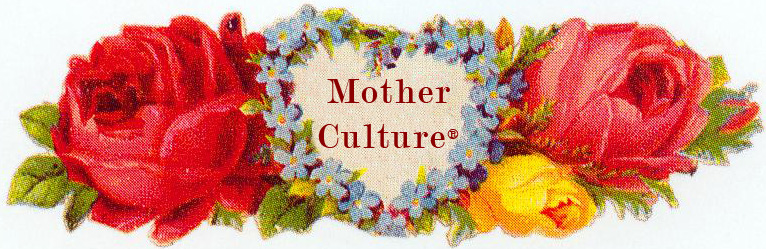 Download this What Mother Culture picture