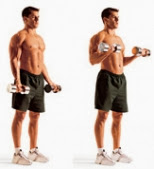 Basic Biceps Curls