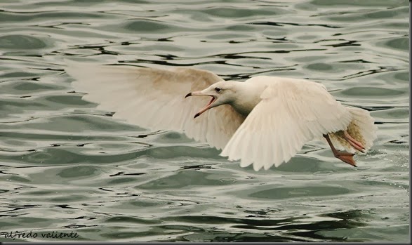 08. IMG_0021a