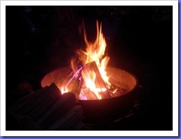 DSCN6066