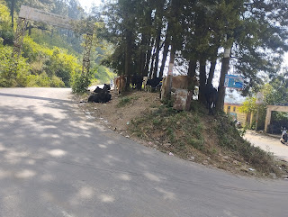चित्र