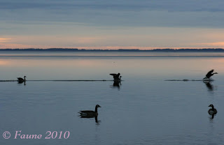 Currituck Sound morning