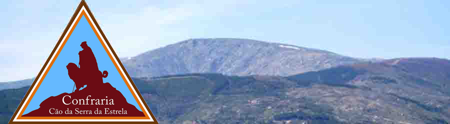 Confraria do Cão da Serra da Estrela