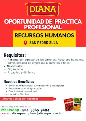 Práctica Profesional Recursos Humanos - SPS