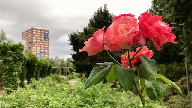 Jardín botánico de Barakaldo