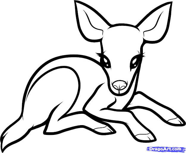 Cute Baby Animal Coloring Pages Dragoart  Google Search