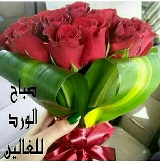صباح الخير,صباح,الخير,صباح الورد,حبيبي,ماجد,المهندس,صباح النور,ورد,صباحو ورد,صور صباح الورد,صباح الفل,كلمات صباح الخير,زراعه الورد,زراعه الخضروات,صباح الباسمين,تكاثر الورد,زراعه الخوخ,اجمل كلمه صباح الخير,الخير،,احلا كلمات صباح الخير,زراعه الريحان