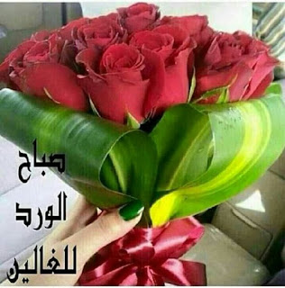 صباح الخير,صباح,الخير,صباح الورد,حبيبي,ماجد,المهندس,صباح النور,ورد,صباحو ورد,صور صباح الورد,صباح الفل,كلمات صباح الخير,زراعه الورد,زراعه الخضروات,صباح الباسمين,تكاثر الورد,زراعه الخوخ,اجمل كلمه صباح الخير,الخير،,احلا كلمات صباح الخير,زراعه الريحان