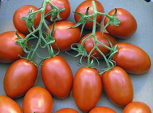 heirloom tomatoes