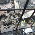 Pabrik Mancis Terbakar, 30 Orang Tewas Terpanggang, Ini Videonya
