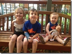 Fall 2012-July 2013 813
