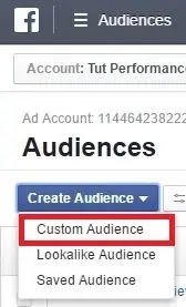 How To Create Custom Audience