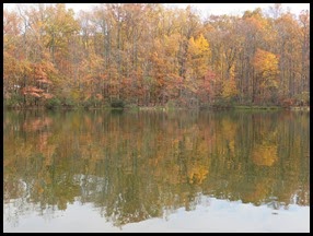 IMG_3482