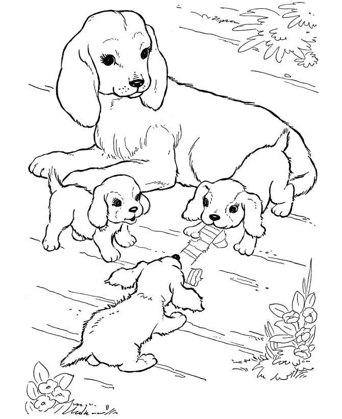 Dog Pictures To Color 9