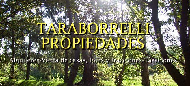 Taraborrelli Propiedades