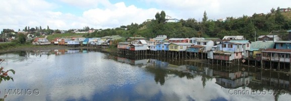 IMG_7691