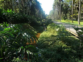 Jardim Botânico de São Paulo