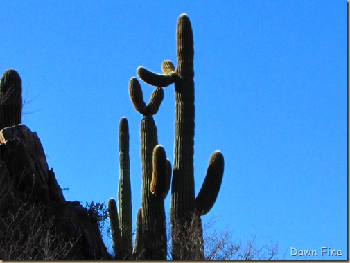 Mt. Wassen hike_027