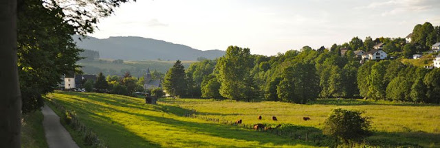 Ferienpark in Sauerland