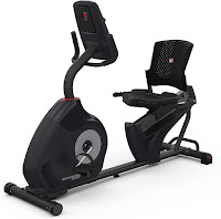 Schwinn 230 Recumbent Bike, vented seat for airflow, image