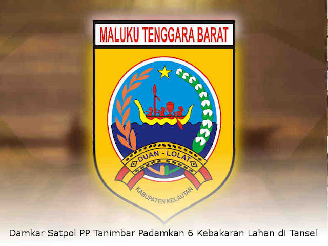 Damkar Satpol PP Tanimbar Padamkan 6 Kebakaran Lahan di Tansel