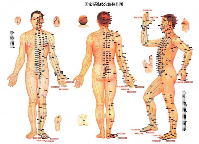 人體神奇的“生髮穴”，經常按能防脫生髮！