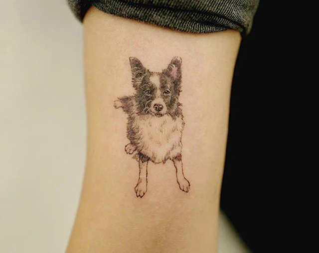 Australian Shepherd Tattoo