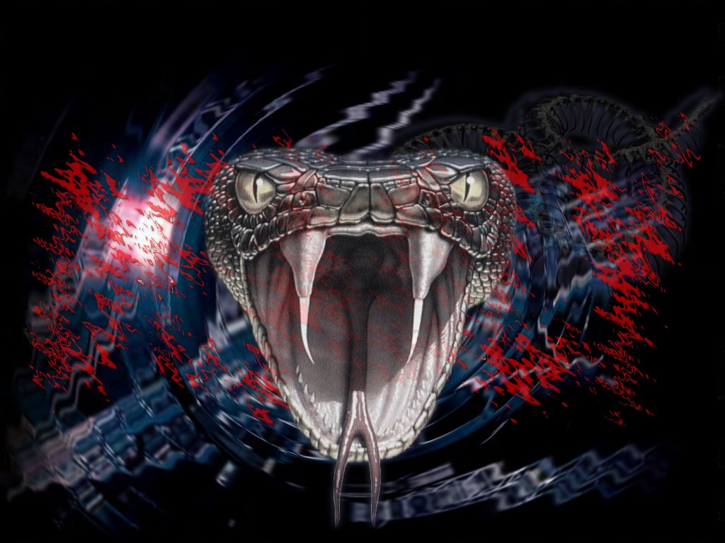 Snake Attack Wallpaper