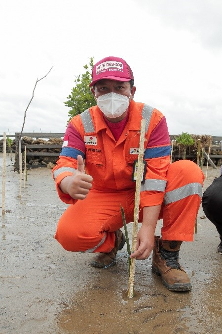 pertamina-hulu-kalimantan-timur-tanam-10000-mangrove-di-pantai-kersik-marangkayu-untuk-mengembangkan-ekowisata-lokal