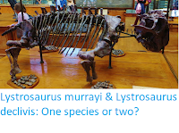 https://sciencythoughts.blogspot.com/2018/04/lystrosaurus-murrayi-lystrosaurus.html