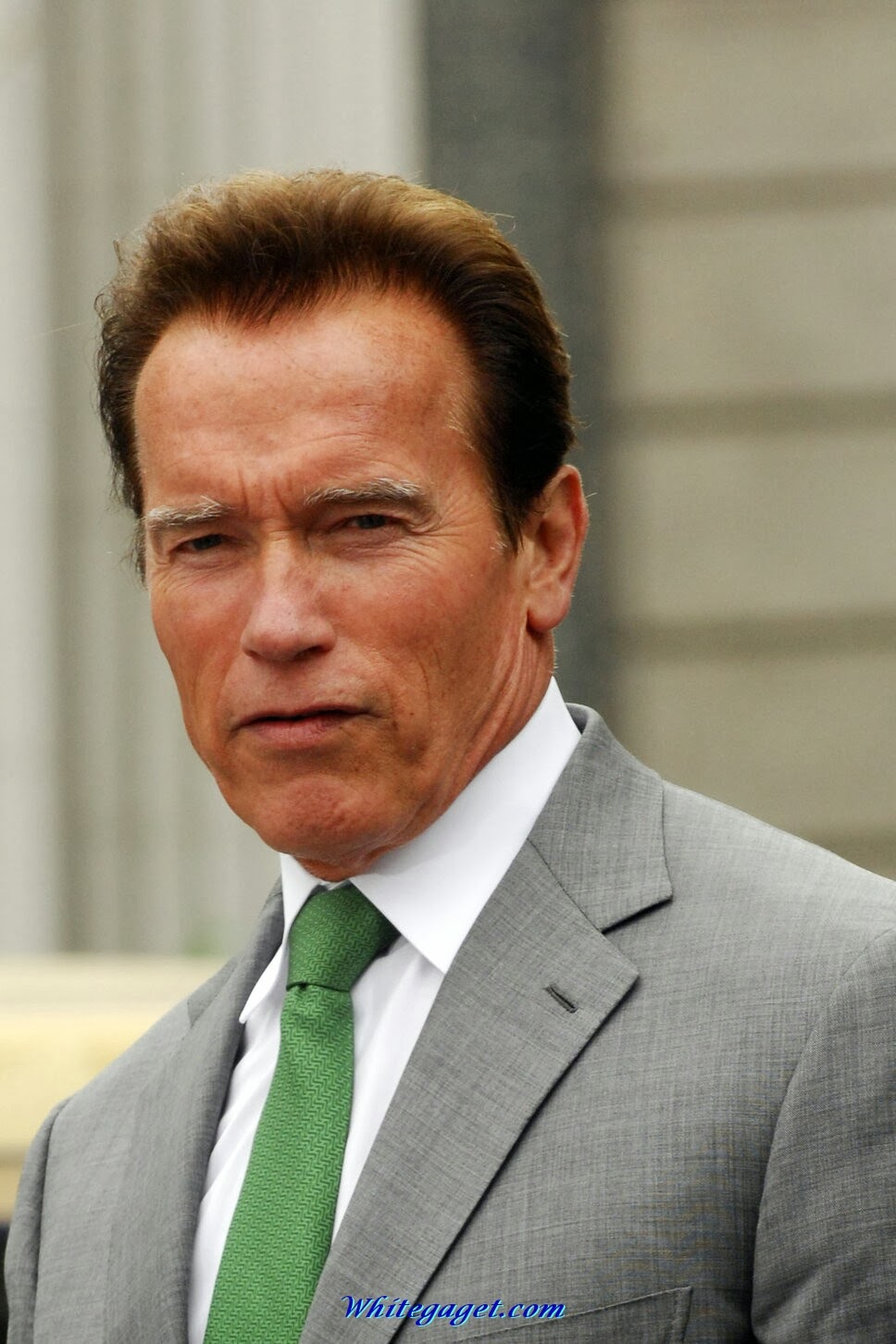 Arnold Schwarzenegger Wallpaper,hollywood  celebrities hd wallpaper,hollywood celebrities photos,hollywood celebrities hd pictures,cool wallpapers hd