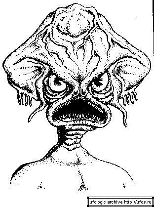Alien Wear 3