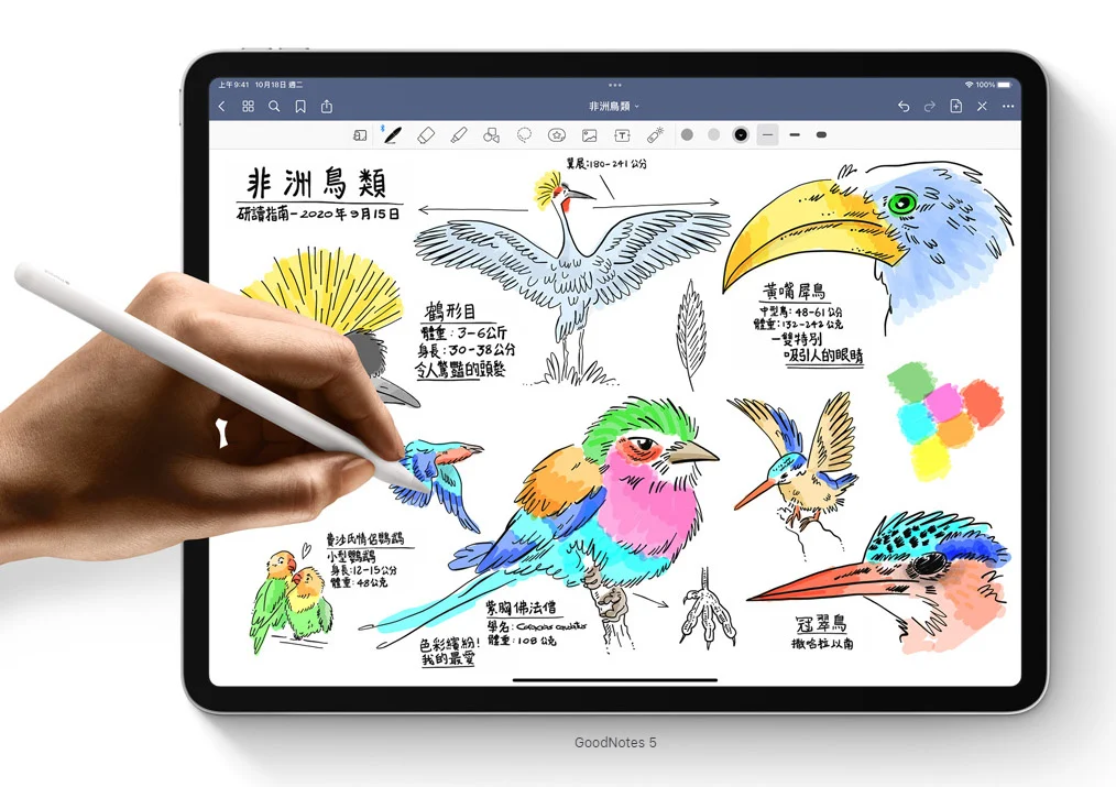 2024 新款 iPad 獲印度 BIS 認證，5 月正式登場