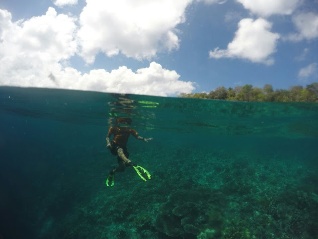 Spot snorkeling di Palung Pulau Kakaban