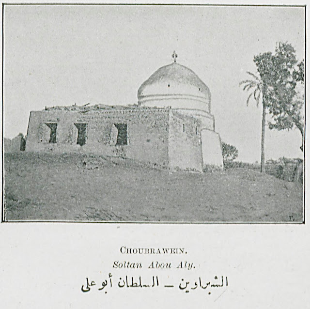 الشبراوين - السلطان أبو علي