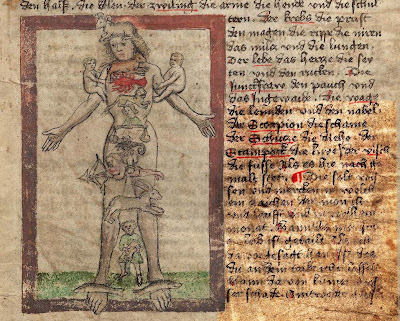 German medieval zodiac man