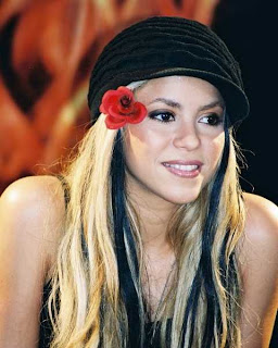 3. Shakira Hairstyles