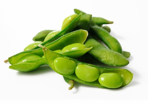 Kandungan Gizi dan Manfaat Kacang Kedelai