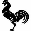 Rooster (Yin, 2nd Trine, Fixed Element Metal). 