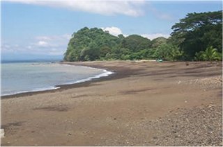 Playa Agujas, Puntarenas