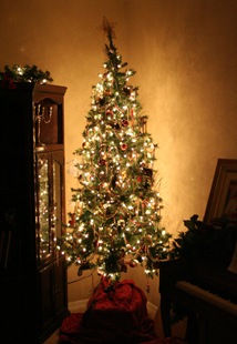 20091215_1574