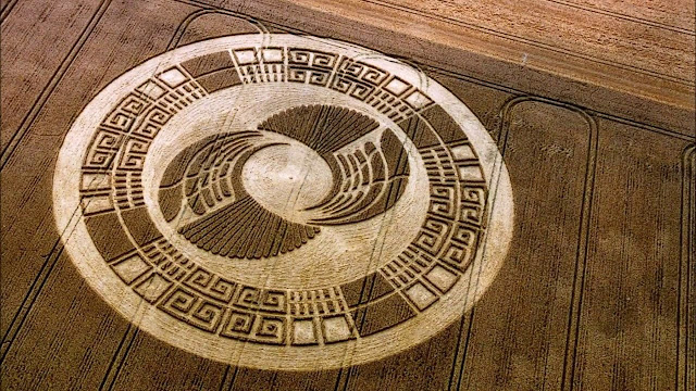 Científico y Ph.D afirma que los Crop Circles son mensajes extraterrestres del futuro