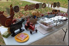IMG_8212