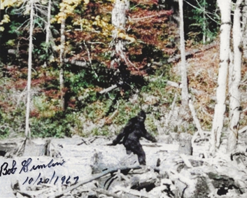 Big foot images by Robert Gimlin