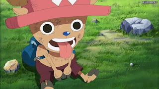 ワンピースアニメ シャボンディ諸島編 403話 チョッパー Tony Tony Chopper | ONE PIECE Episode 403