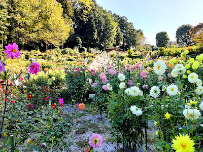 町田ダリア園