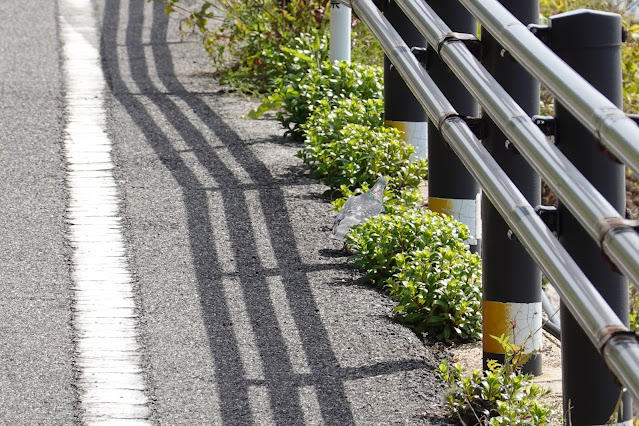 島根県松江市美保関町美保関 境美保関線